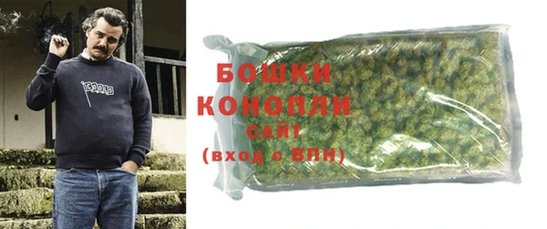 spice Аркадак