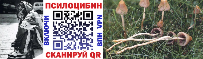 Галлюциногенные грибы Psilocybe купить Асино